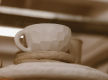 Established and Creative E-Commerce Brand
