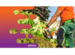 36196 Thriving Lawn & Garden Maintenance Business  Flexible & Profitable