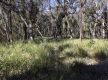 Lifestyle Block Only 10 Mins From Town