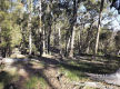 Lifestyle Block Only 10 Mins From Town