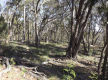 Lifestyle Block Only 10 Mins From Town