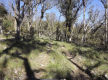 Lifestyle Block Only 10 Mins From Town