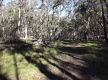 Lifestyle Block Only 10 Mins From Town
