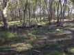 Lifestyle Block Only 10 Mins From Town