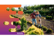 36202 Thriving Landscape Construction Business  Established & Profitable