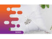 36260 Profitable Online Wedding Store - Operate From Anywhere