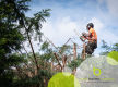 Leading Local Tree Maintenance Business - Strong Profit Margins & Consistant Turnover