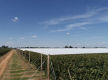Leading Crop Protection/Netting Infrastructure Specialist VIC (Our Ref: 2065)