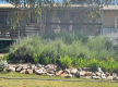 Huge Price Adjustment - Gateway to the Flinders Ranges – Peterborough Caravan Park For Sale