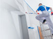Commercial Painting Business for Sale - 5882