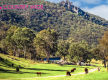 The Ultimate Tree Change & Tourism Opportunity 