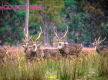 The Ultimate Tree Change & Tourism Opportunity 