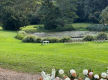 North Coast NSW freehold, ideal for community, shared- family living or groups seeking land, accommodation and a purpose-built gathering destination