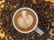 Established CBD Cafe for sale - 5883