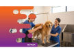 36379- Dog Day-Care & Grooming Business With Strong Client Base