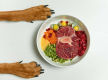 Fresh Pet Food & Retail Shop - Dandenong MW1504