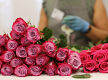 Long-Established Florist & Gift Store - Prime Murray Bridge Location