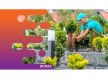 36431 - Profitable Landscaping Business with Loyal Clients