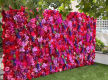 Established Event Hire & Artificial Green Wall Business