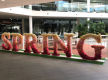 Established Event Hire & Artificial Green Wall Business