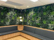 Established Event Hire & Artificial Green Wall Business