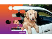 36452 Profitable Online Business - eCommerce in Premium Pet Niche