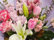 Established Florist for Sale Prime Riverwood Shopping Centre Location