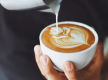 Main Street Cafe for Sale - Caulfield area