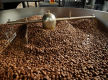 Sunshine Coast Specialty Coffee Roastery