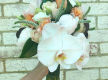 Oakleighs Iconic Florist Nursery Business for Sale SV1585