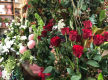 Oakleighs Iconic Florist Nursery Business for Sale SV1585