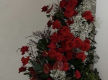 Oakleighs Iconic Florist Nursery Business for Sale SV1585