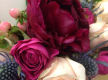 Oakleighs Iconic Florist Nursery Business for Sale SV1585