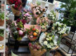 Oakleighs Iconic Florist Nursery Business for Sale SV1585