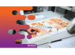 36612 Profitable Home-Based Printing / Signage & Apparel / Merchandise Business