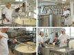 Dairy Manufacturing Facility - Share Sale, Strategic Investment or Full Acquisition | Victoria