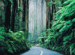 Boutique Accommodation Retreat + Freehold - Dandenong Ranges