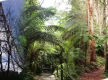 Boutique Accommodation Retreat + Freehold - Dandenong Ranges