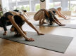 230+ Members, Premium Wellness Studio & Systems Ready to Go