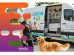 36635 Profitable Mobile Dog Grooming Business - Open To Offers