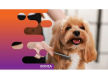 36635 Profitable Mobile Dog Grooming Business - Open To Offers