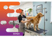 36626 Profitable Dog Daycare & Grooming Business with Recurring Income 