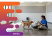 36626 Profitable Dog Daycare & Grooming Business with Recurring Income 