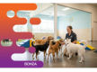 36626 Profitable & In Demand Dog Daycare & Grooming Business