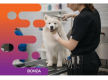 36626 Profitable & In Demand Dog Daycare & Grooming Business