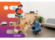 36626 Profitable & In Demand Dog Daycare & Grooming Business