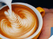 Cafe Lower North Shore Gem 50kg Coffee Fully Managed 4K Net PW