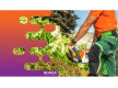 36659 Established & Profitable Gardening Maintenance Business