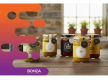 36657 FOOD MANUFACTURING BUSINESS - RUN FROM ANYWHERE