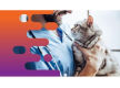 36686 Profitable Mobile Veterinary Business - Low Overheads